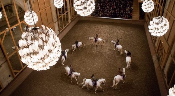 Shows of the equestrian Academy of Versailles